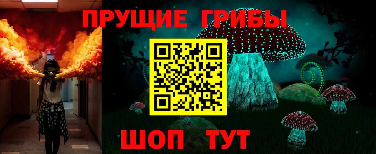 Псилоцибиновые грибы мицелий Пушкино