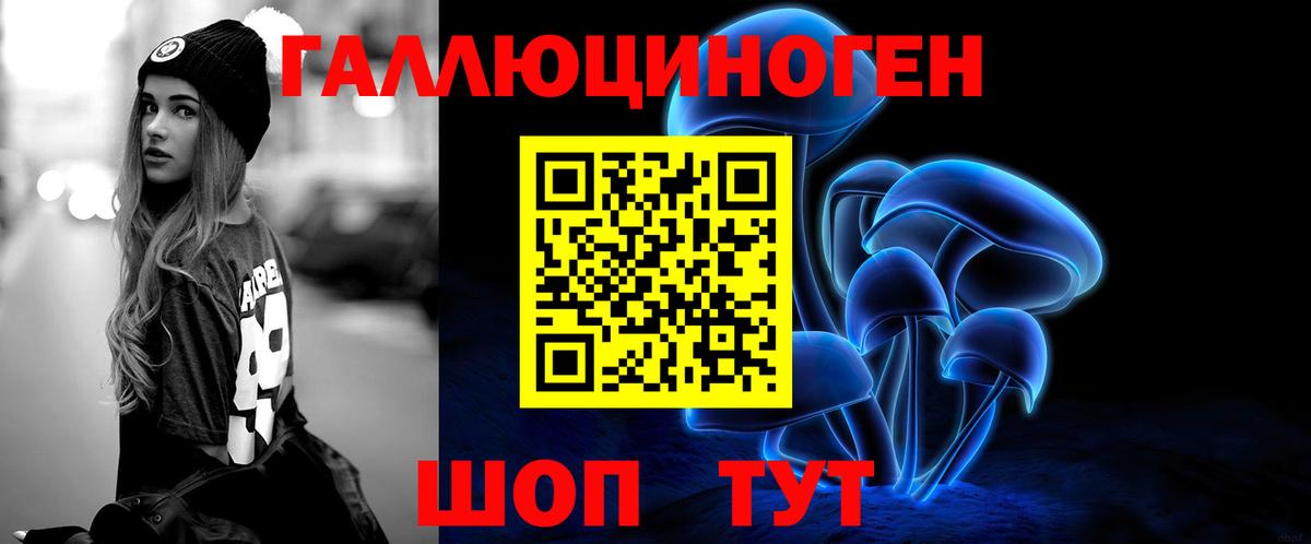 где купить наркотик  Псилоцибиновые грибы ЛСД  Пушкино  Вход с VPN  Галлюциногенные грибы Psilocybe 